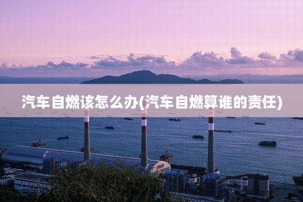 汽车自燃该怎么办(汽车自燃算谁的责任)