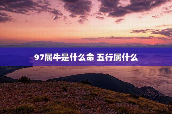 97属牛是什么命 五行属什么