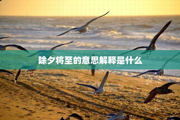 除夕将至的意思解释是什么