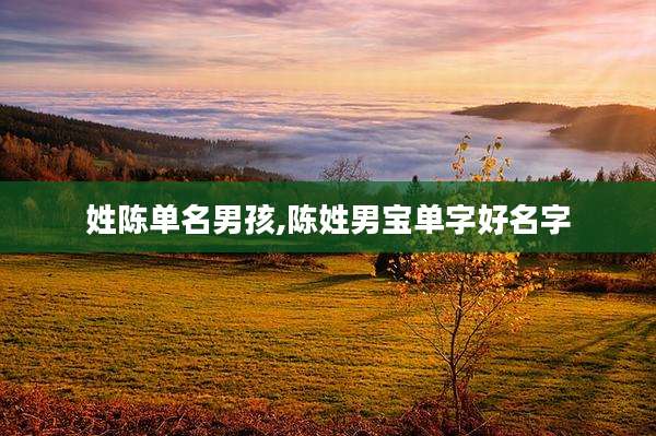 姓陈单名男孩,陈姓男宝单字好名字