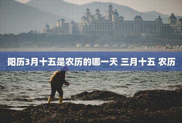 阳历3月十五是农历的哪一天 三月十五 农历