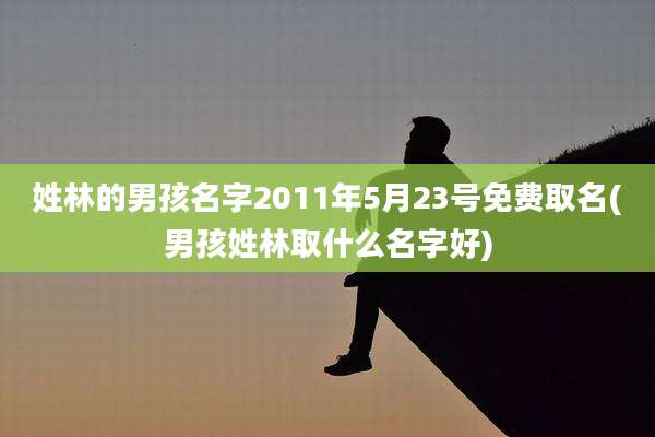 姓林的男孩名字2011年5月23号免费取名(男孩姓林取什么名字好)
