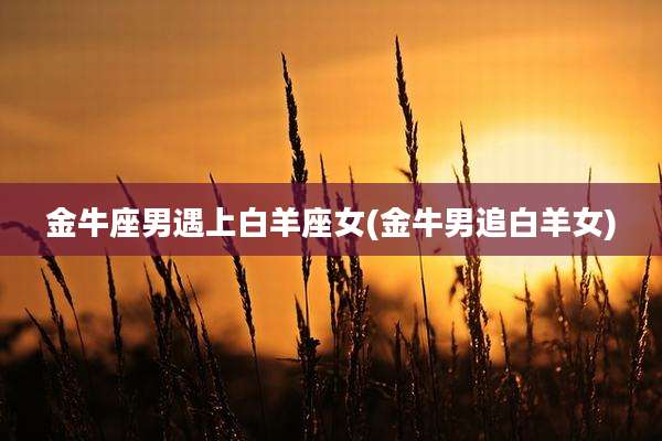 金牛座男遇上白羊座女(金牛男追白羊女)