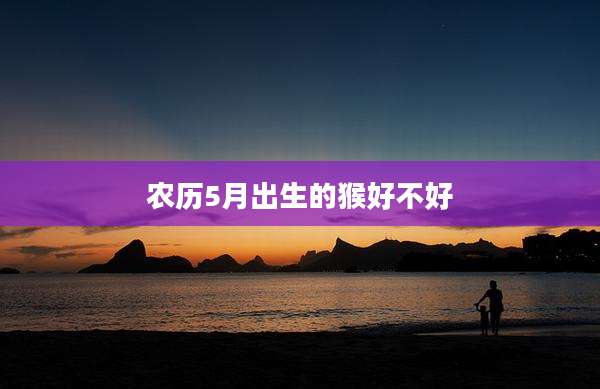 农历5月出生的猴好不好