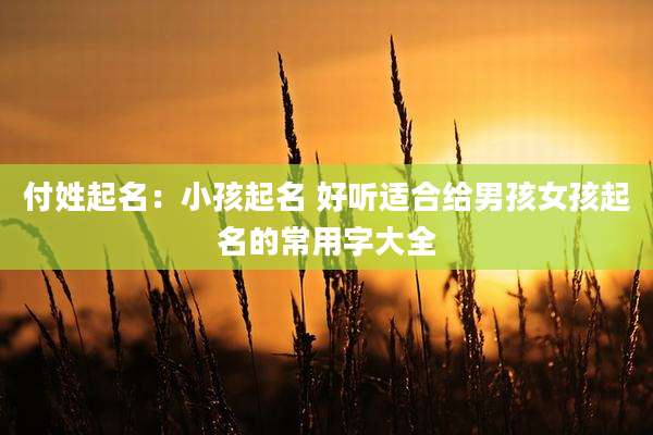 付姓起名：小孩起名 好听适合给男孩女孩起名的常用字大全