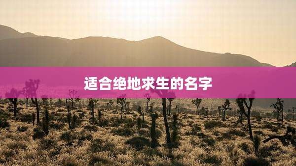 适合绝地求生的名字