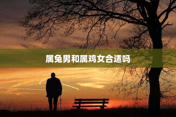 属兔男和属鸡女合适吗