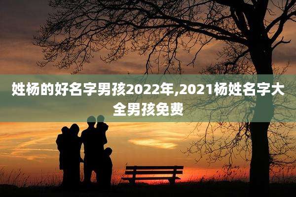 姓杨的好名字男孩2022年,2021杨姓名字大全男孩免费