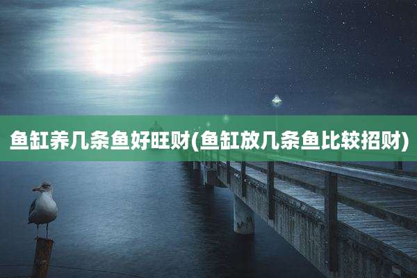 鱼缸养几条鱼好旺财(鱼缸放几条鱼比较招财)