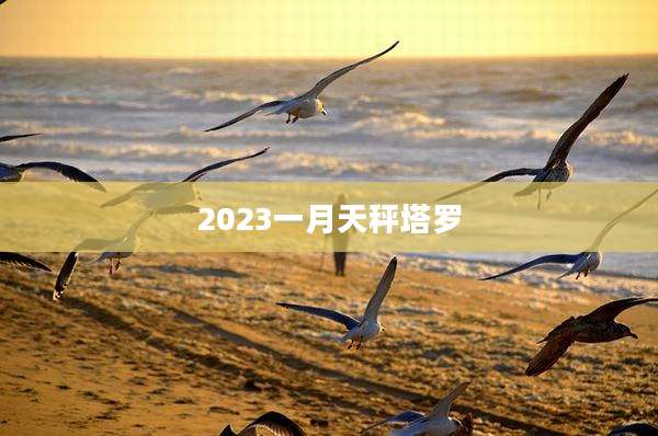 2023一月天秤塔罗
