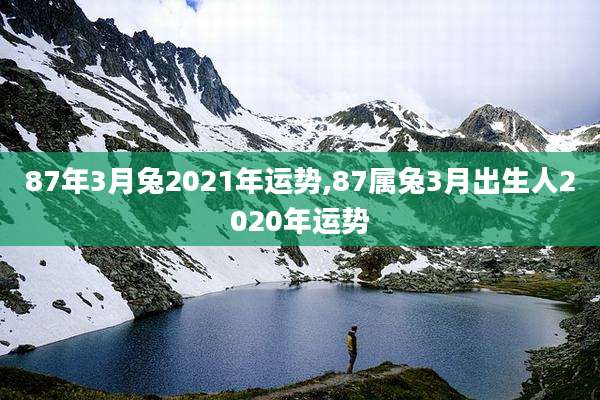 87年3月兔2021年运势,87属兔3月出生人2020年运势