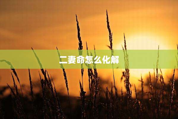 二妻命怎么化解