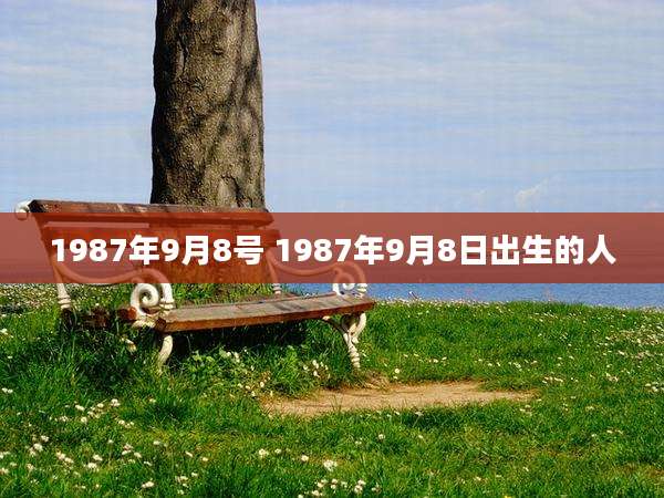 1987年9月8号 1987年9月8日出生的人