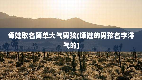 谭姓取名简单大气男孩(谭姓的男孩名字洋气的)