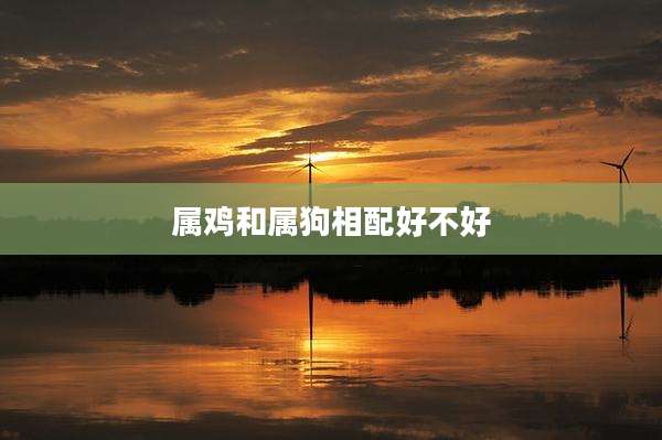 属鸡和属狗相配好不好
