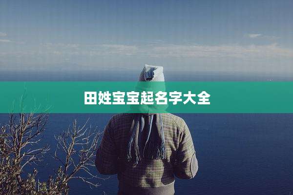 田姓宝宝起名字大全