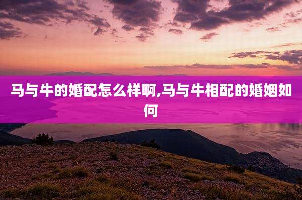 马与牛的婚配怎么样啊,马与牛相配的婚姻如何