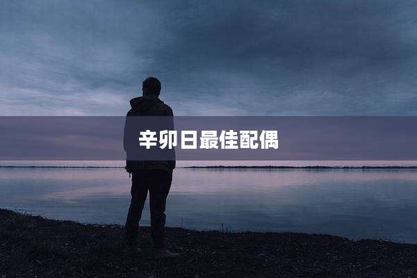 辛卯日最佳配偶