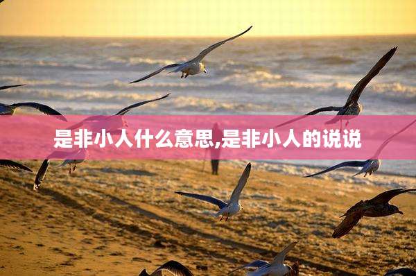是非小人什么意思,是非小人的说说
