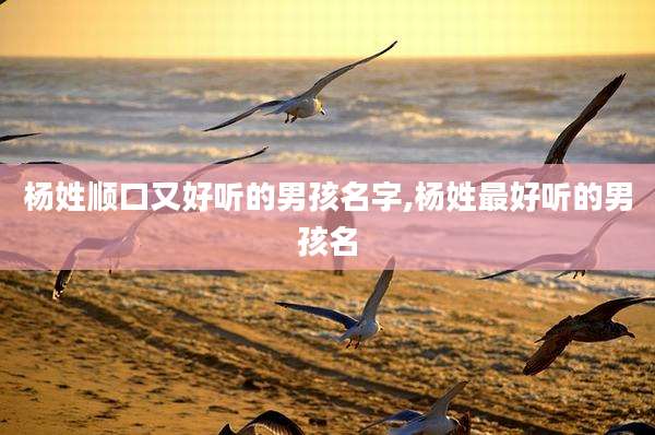 杨姓顺口又好听的男孩名字,杨姓最好听的男孩名