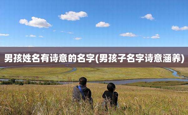 男孩姓名有诗意的名字(男孩子名字诗意涵养)