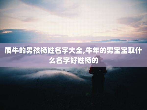 属牛的男孩杨姓名字大全,牛年的男宝宝取什么名字好姓杨的