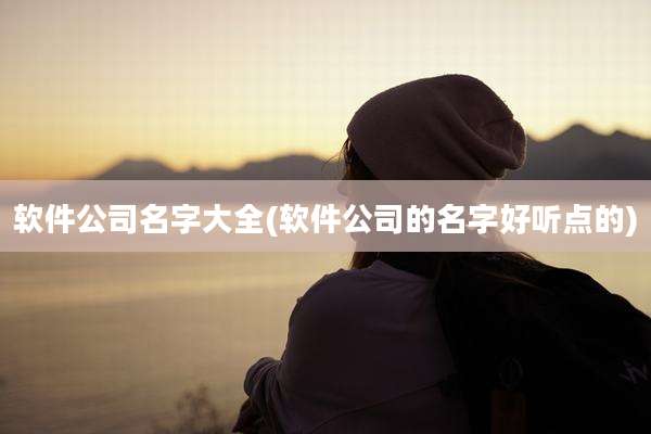 软件公司名字大全(软件公司的名字好听点的)