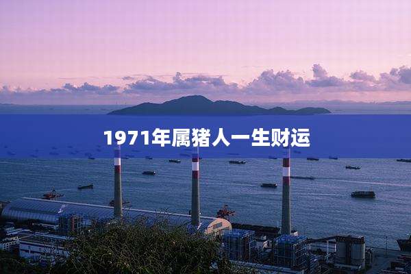1971年属猪人一生财运