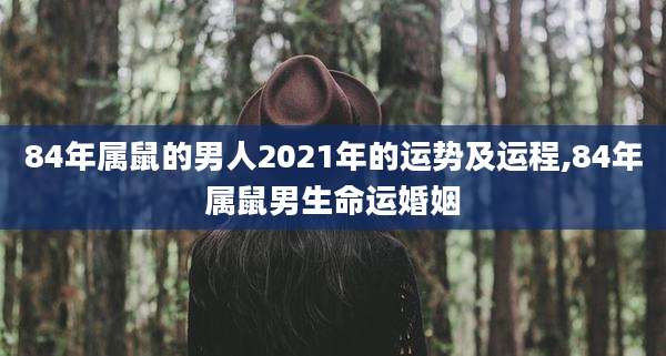 84年属鼠的男人2021年的运势及运程,84年属鼠男生命运婚姻