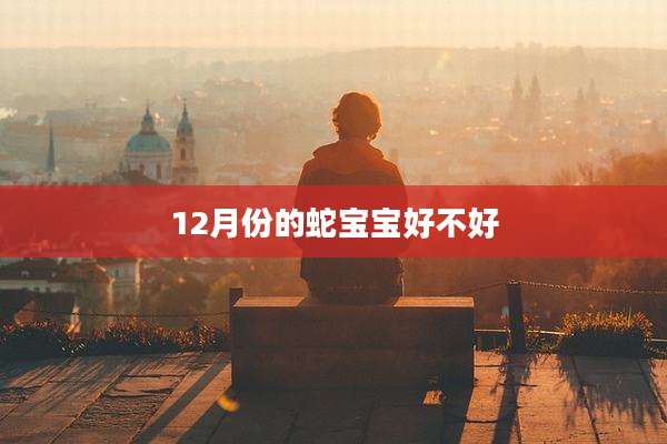 12月份的蛇宝宝好不好