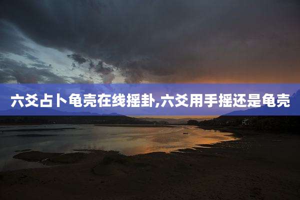 六爻占卜龟壳在线摇卦,六爻用手摇还是龟壳