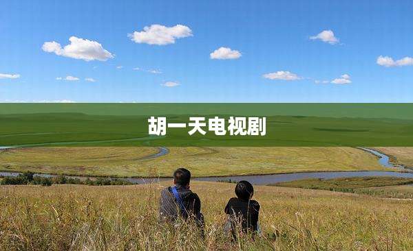胡一天电视剧