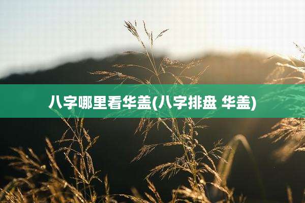 八字哪里看华盖(八字排盘 华盖)