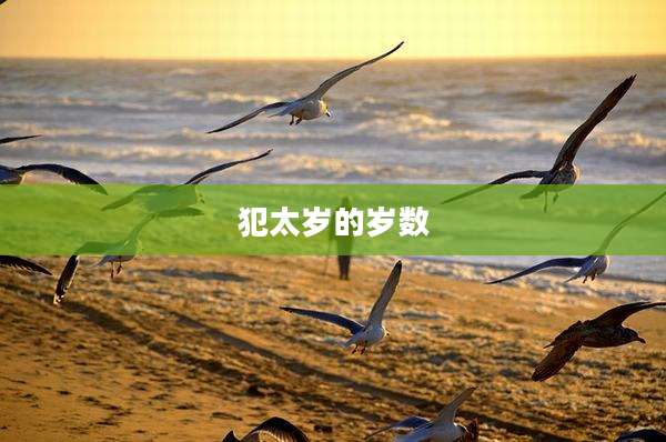 犯太岁的岁数