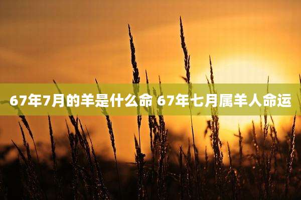 67年7月的羊是什么命 67年七月属羊人命运