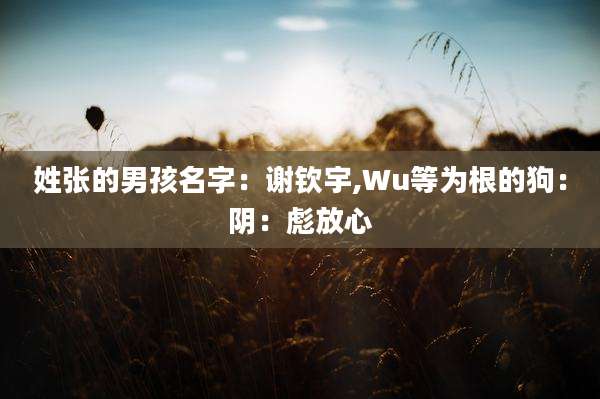 姓张的男孩名字：谢钦宇,Wu等为根的狗：阴：彪放心