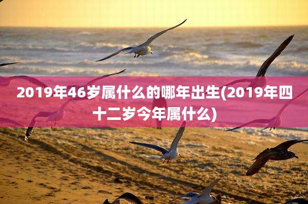 2019年46岁属什么的哪年出生(2019年四十二岁今年属什么)