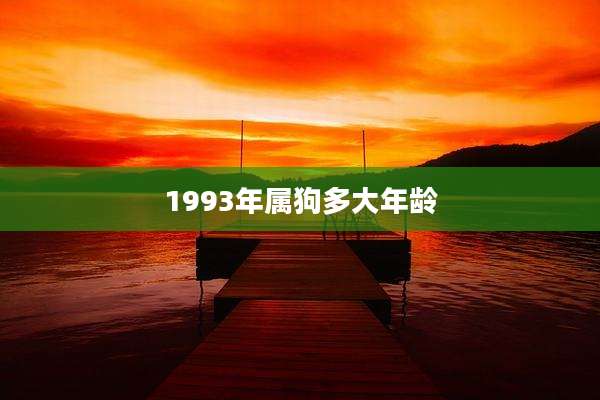 1993年属狗多大年龄