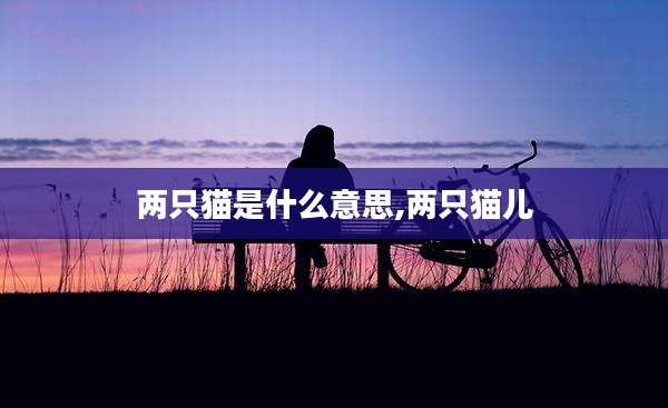 两只猫是什么意思,两只猫儿