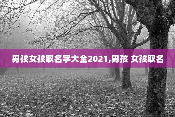 男孩女孩取名字大全2021,男孩 女孩取名