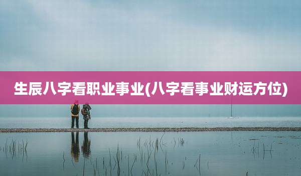 生辰八字看职业事业(八字看事业财运方位)