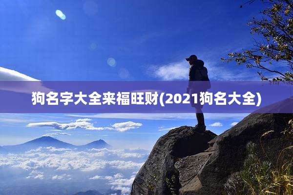 狗名字大全来福旺财(2021狗名大全)