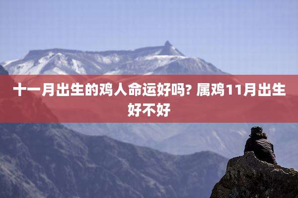 十一月出生的鸡人命运好吗? 属鸡11月出生好不好