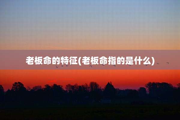 老板命的特征(老板命指的是什么)