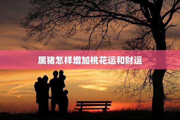 属猪怎样增加桃花运和财运