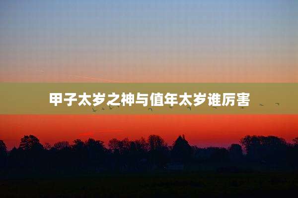 甲子太岁之神与值年太岁谁厉害