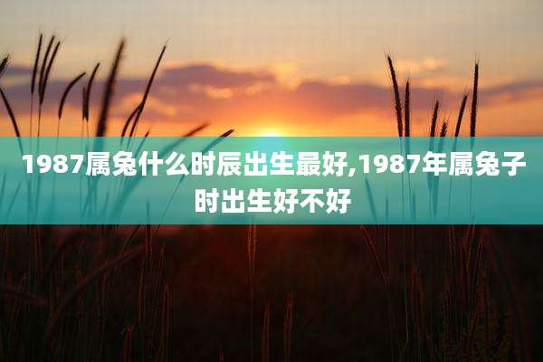 1987属兔什么时辰出生最好,1987年属兔子时出生好不好