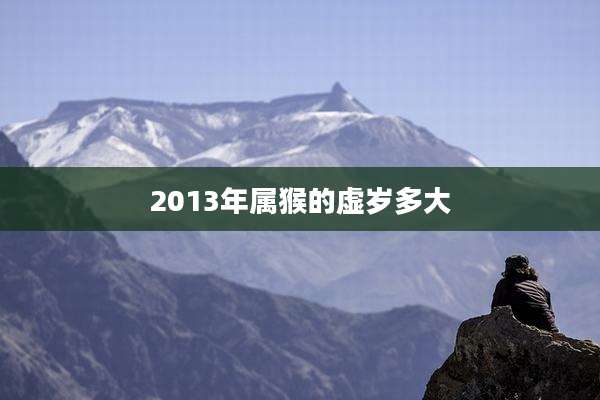 2013年属猴的虚岁多大