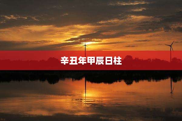 辛丑年甲辰日柱