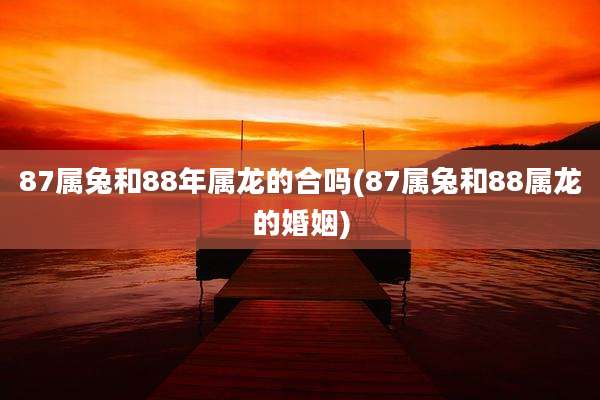 87属兔和88年属龙的合吗(87属兔和88属龙的婚姻)